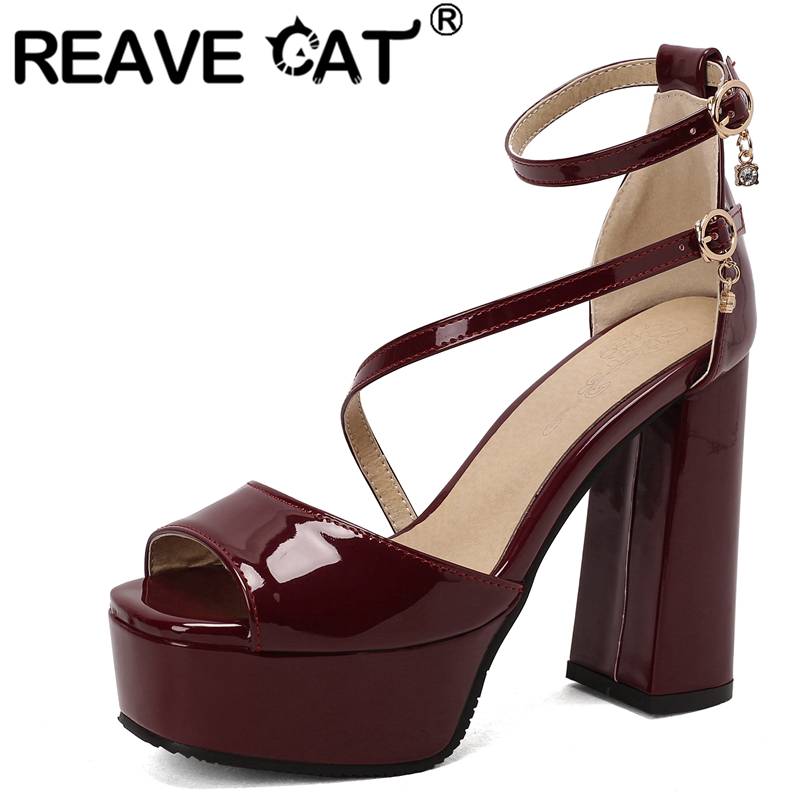 REAVE CAT Brand Shoes Women Su - Women Fashion Brand avis et prix