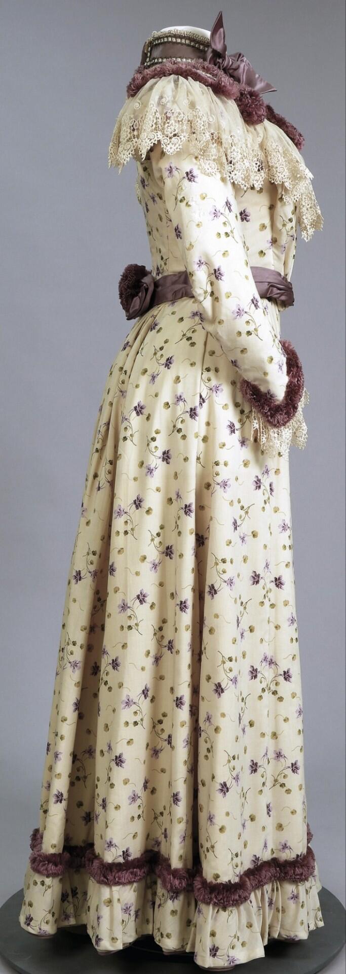 1890s-1899s Victorian Fashion  - Women'S Fashion Day avis et prix